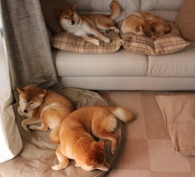 开云体育全站-【规则影响】新规则如何改变顶尖运动员的战术布局?,运动员战术决策的水平和质量取决于哪些因素