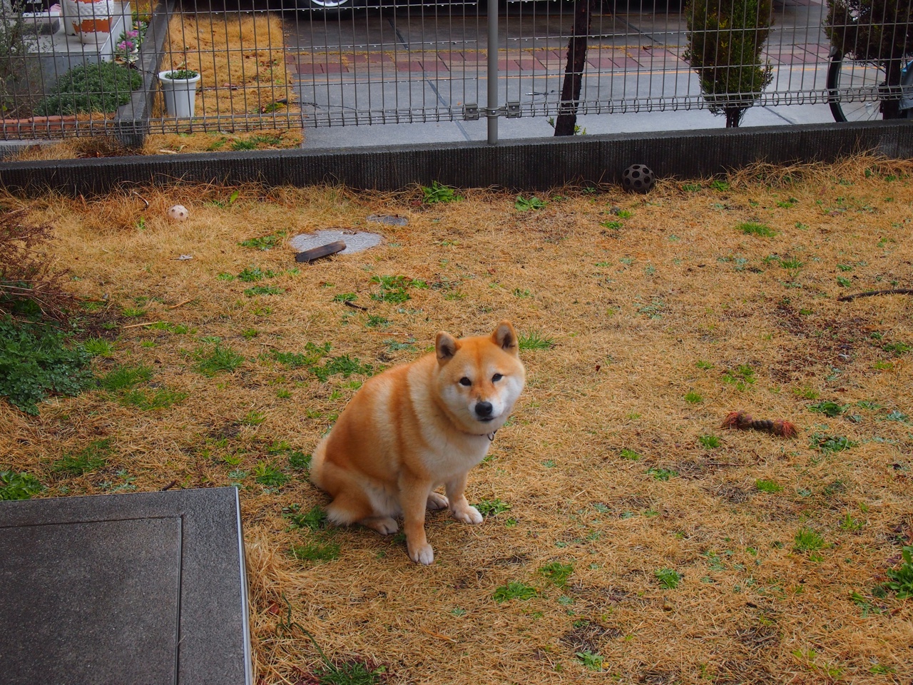 开云体育链接-【青训秘籍】丁俊晖：年轻选手如何模仿冠军训练？，运动员丁俊晖