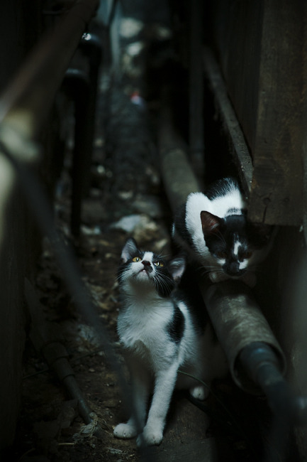 Kering-今年联盟三分命中率最高的队伍,表现值得期待!,联盟现役三分命中率